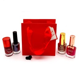 پک لاک مینی پک لاک مینی